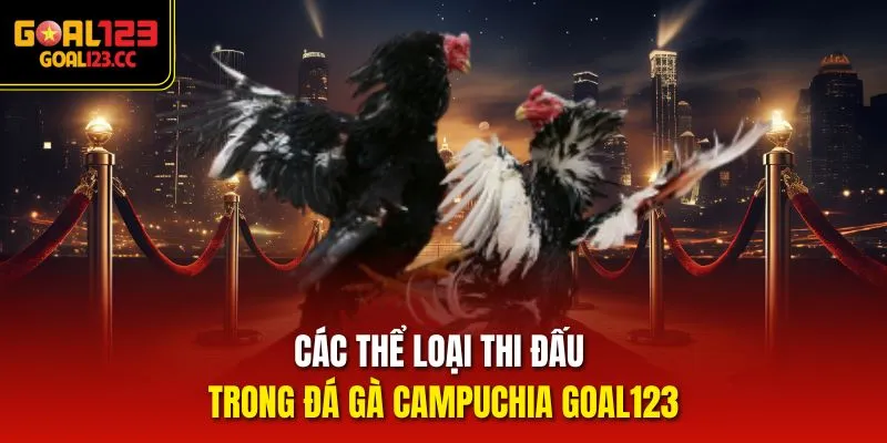 Các thể loại thi đấu trong Đá Gà Campuchia Goal123