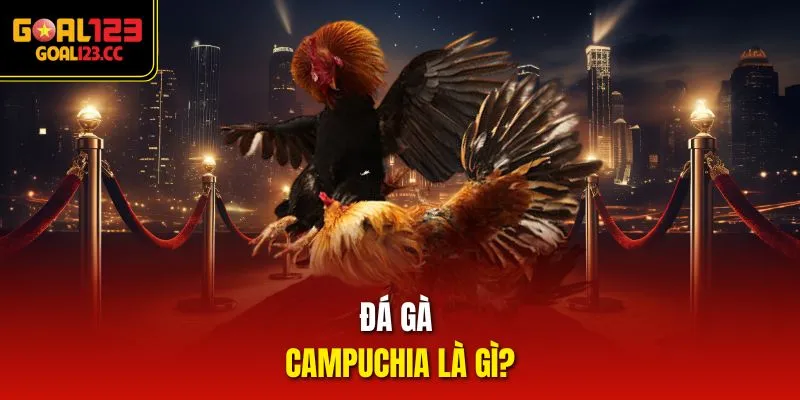 Đá Gà Campuchia là gì?