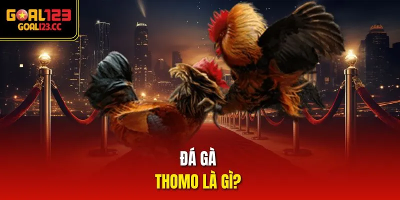 Đá gà Thomo là gì?