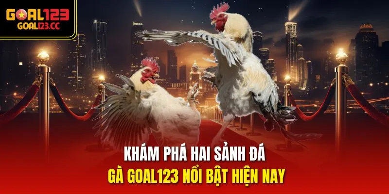 Khám phá hai sảnh đá gà Goal123 nổi bật hiện nay