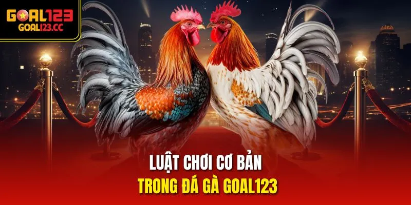 Luật chơi cơ bản trong đá gà Goal123