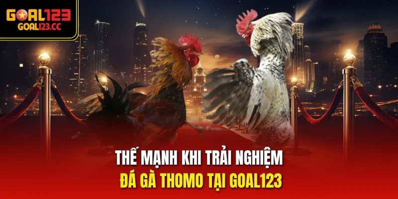 Thế mạnh khi trải nghiệm đá gà Thomo tại Goal123